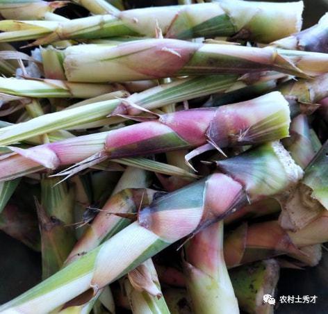 宜兴河边吃瓜,尽享悠闲时光