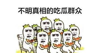 嗑瓜群众吃瓜群众是什么,网络时代的围观文化现象