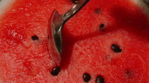 沙华吃瓜,揭秘娱乐圈幕后故事