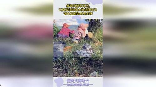 边界打仗大妈吃瓜,大妈街头吃瓜热议时事风云