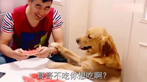 拉着男朋友吃瓜,情侣携手共度甜蜜时光