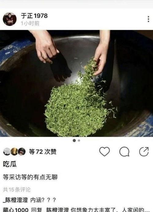 蓬莱绿茶吃瓜,品味瓜果香，探寻茶香之源
