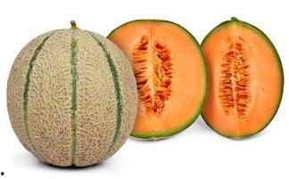 吃头孢能吃哈密瓜