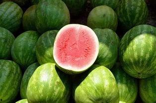 吃瓜的小楠同学,揭秘校园八卦风云