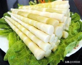 吃瓜笋的季节,探寻时令美食的味蕾之旅