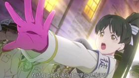 宠物吃瓜看戏,瓜田里的欢乐看戏时光