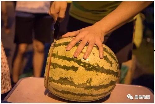 尴尬的吃瓜比赛,笑料百出，瓜农们的欢乐竞技场