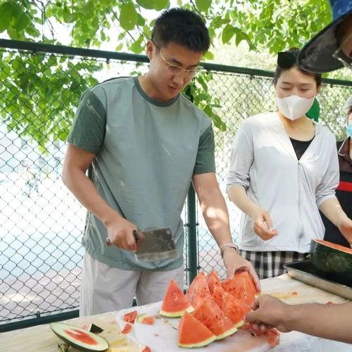 福建职业吃瓜,揭秘网络红人的“吃瓜”之路