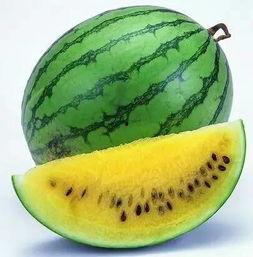 吃瓜消暑活动,吃瓜大赛欢乐来袭